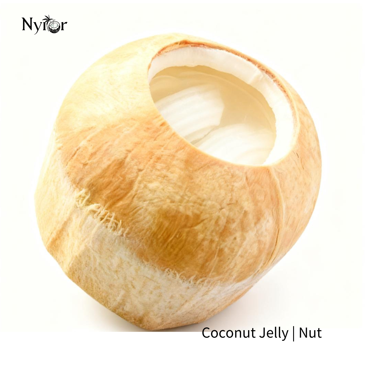 Coconut Jelly